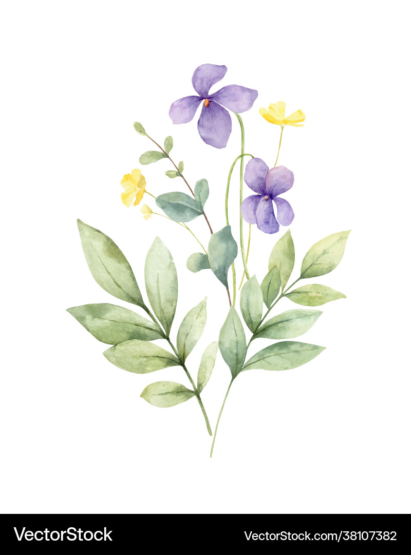 Watercolor bouquet with wildflower vector image