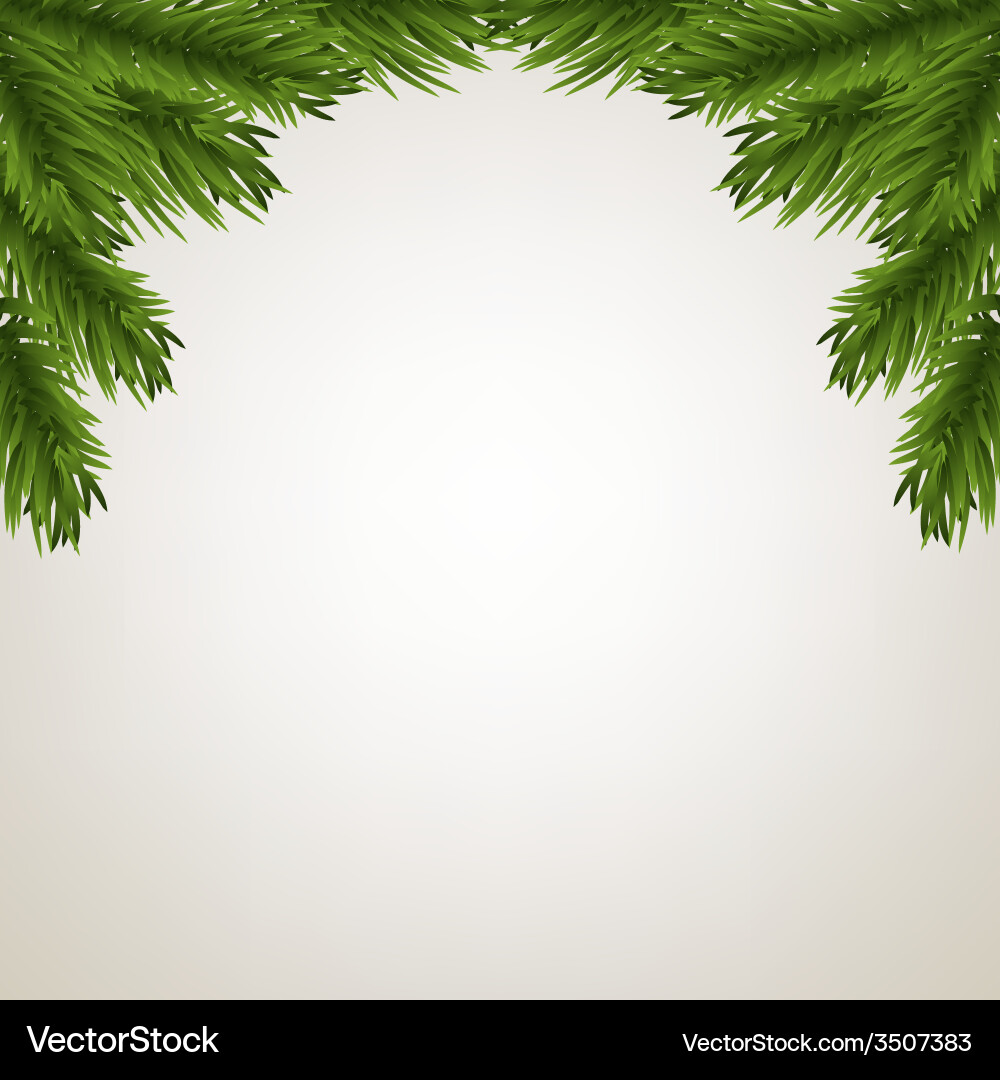 Fir tree branches frame Royalty Free Vector Image