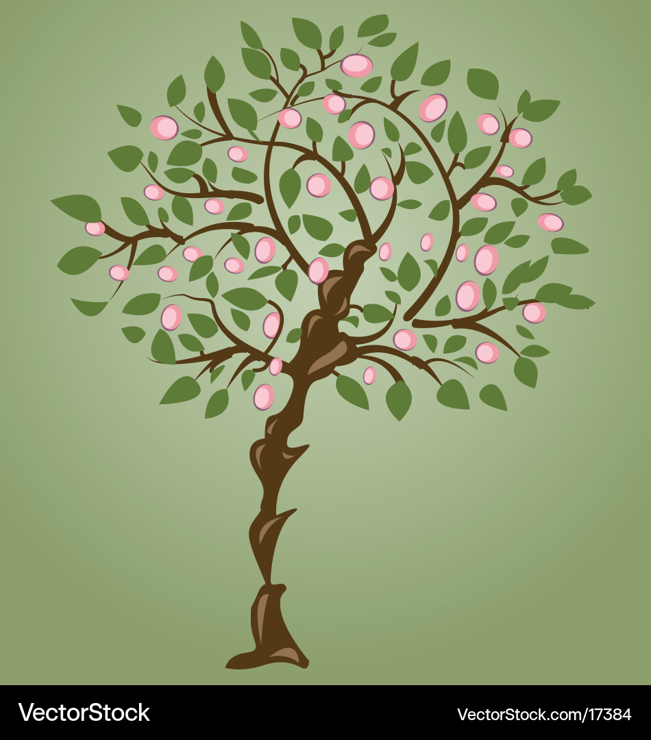 Spring tree vector image