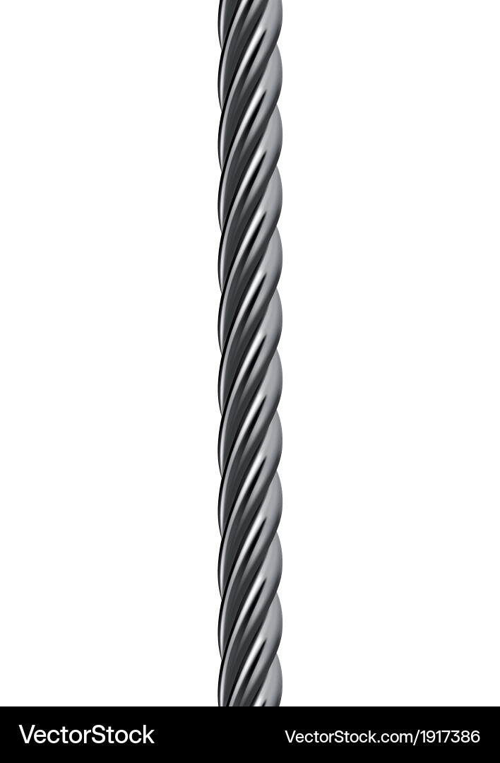 Metallic Braided Cable Vector Image