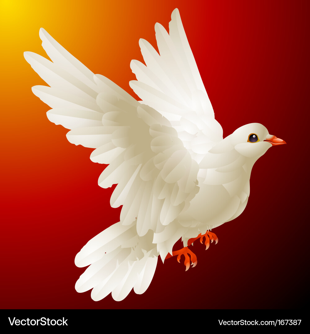 Elegant White Dove Symbol Vector Image