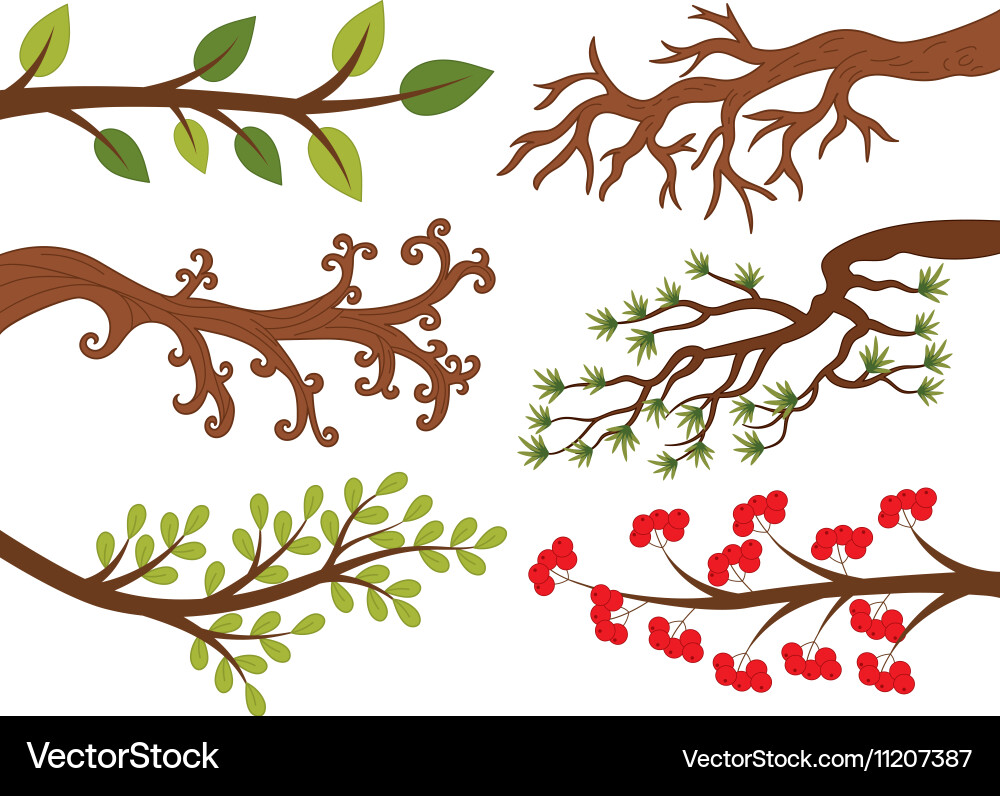 Tree Branches with Berries Vector Image