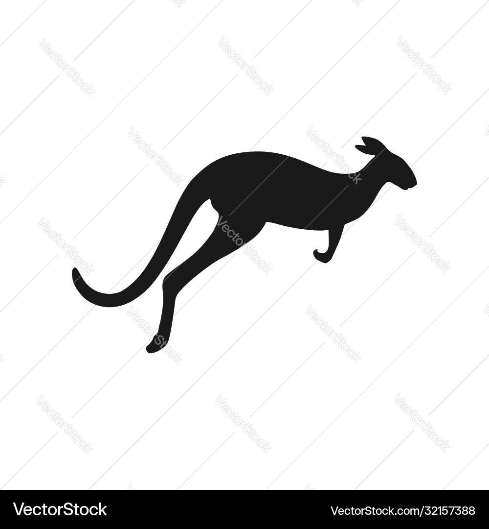 Kangaroo vector image