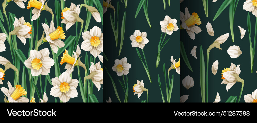 Set of seamless patterns with spring flowers Set of seamless patterns with spring flowers vector image