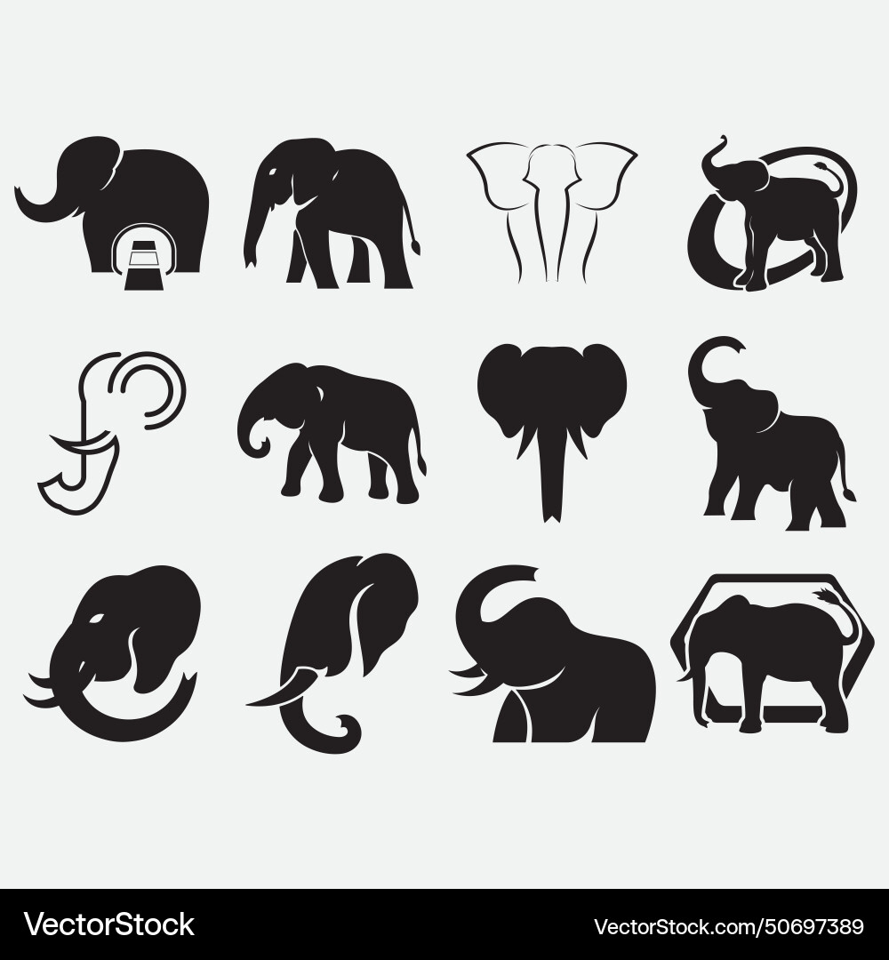 Elephant icon set Elephant icon set vector image
