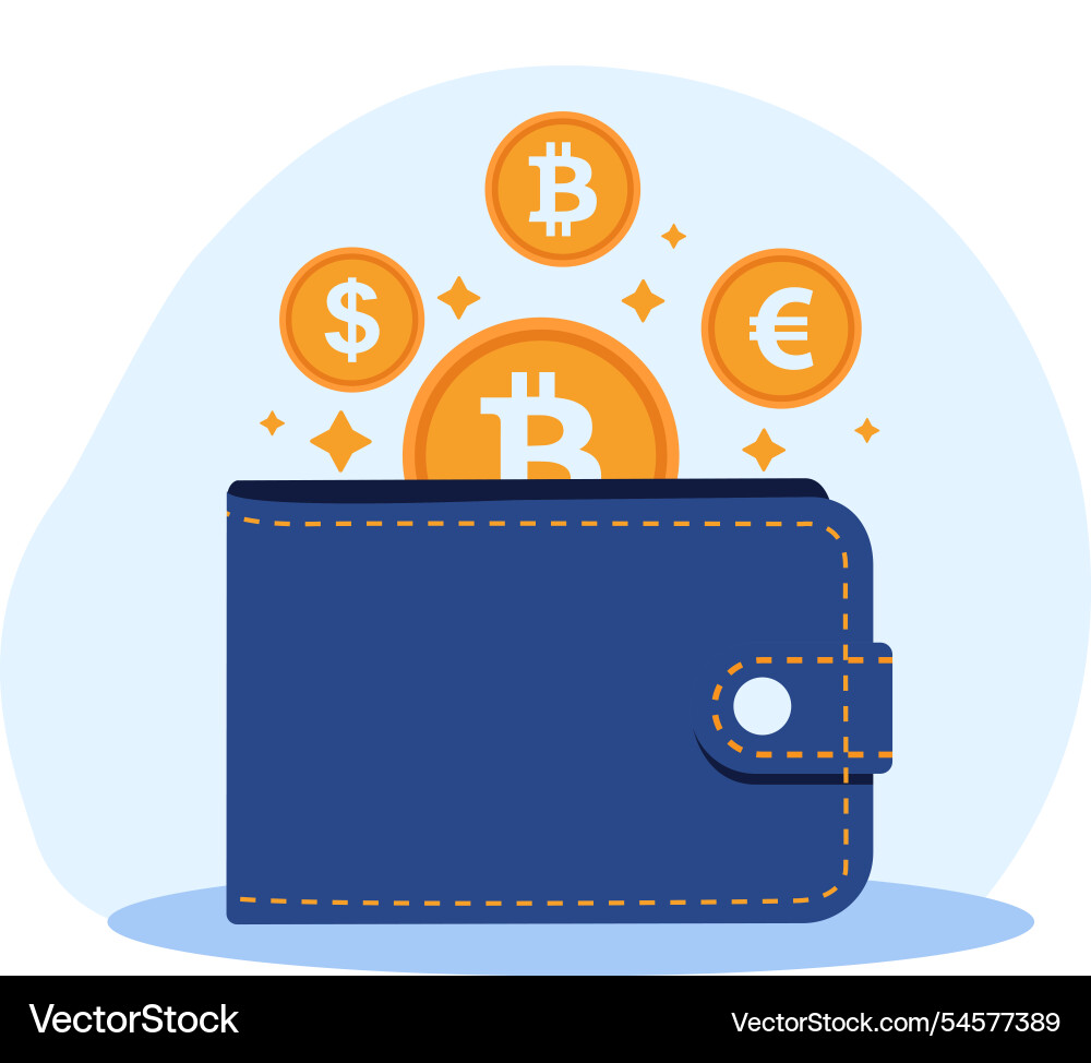 Secure virtual wallet vector image