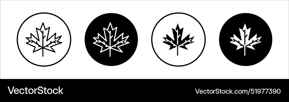 Maple leaf flat line icon set thin Royalty Free Vector Image