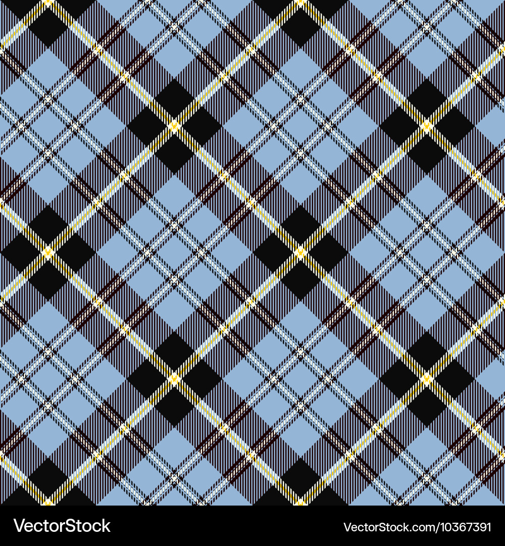 Tartan Plaid Pattern vector image