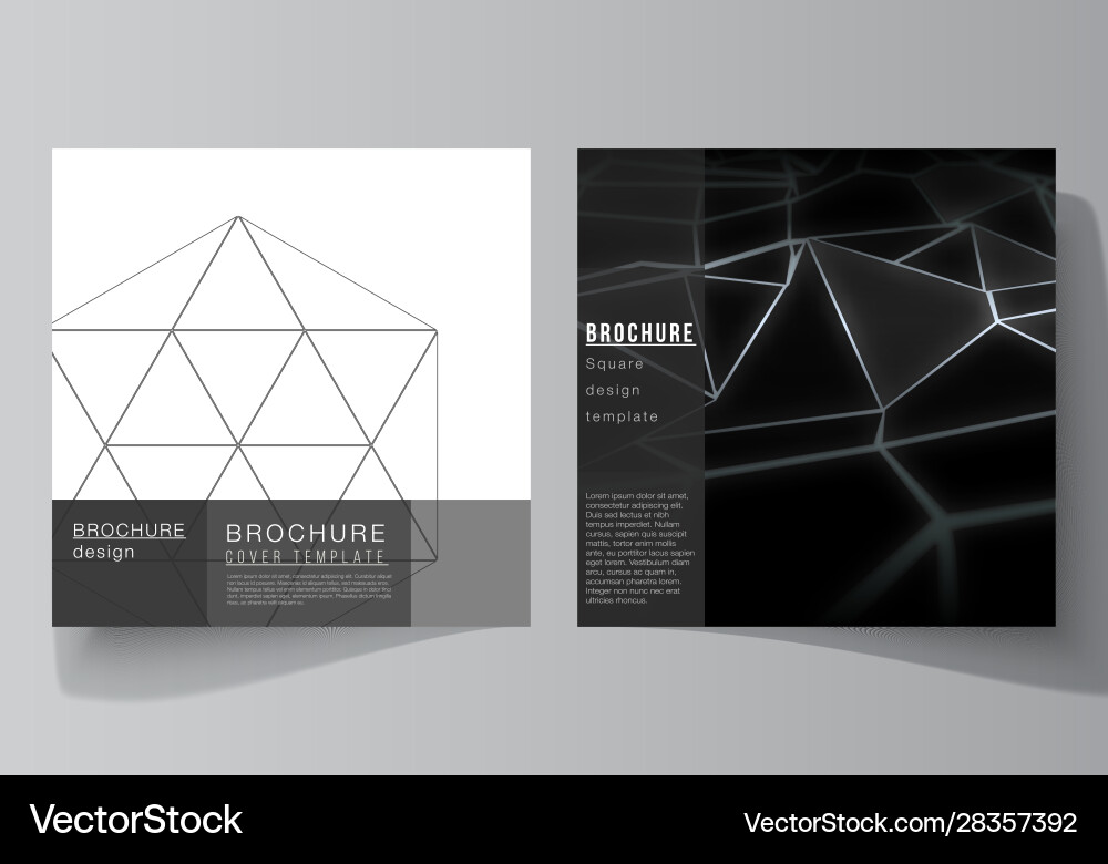 Minimal layout two square format covers Minimal layout two square format covers vector image