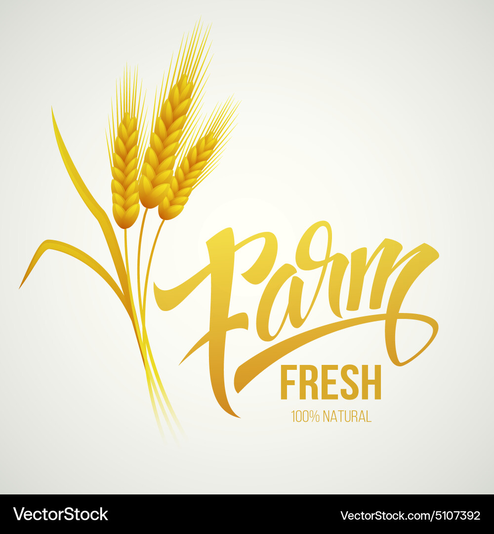 Wheat ears icon Royalty Free Vector Image - VectorStock