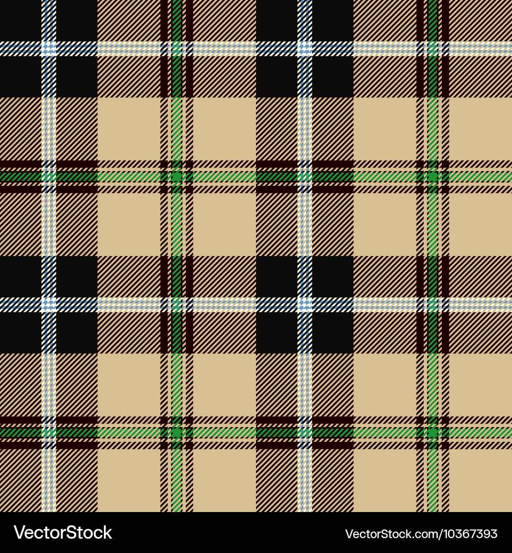 Tartan Plaid Pattern vector image