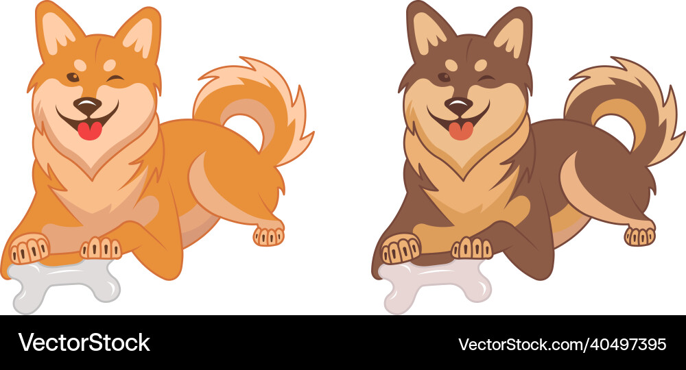 Shiba inu dogs Shiba inu dogs vector image