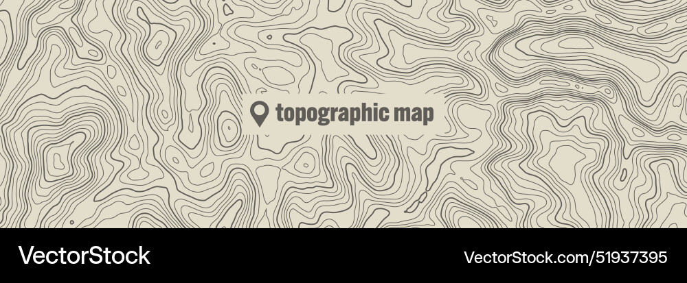 Topographic map with contour lines geographic Topographic map with contour lines geographic vector image