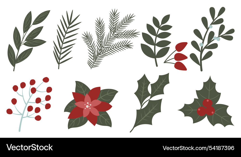 Christmas Branches and Berries - Festive Decor Vector Image