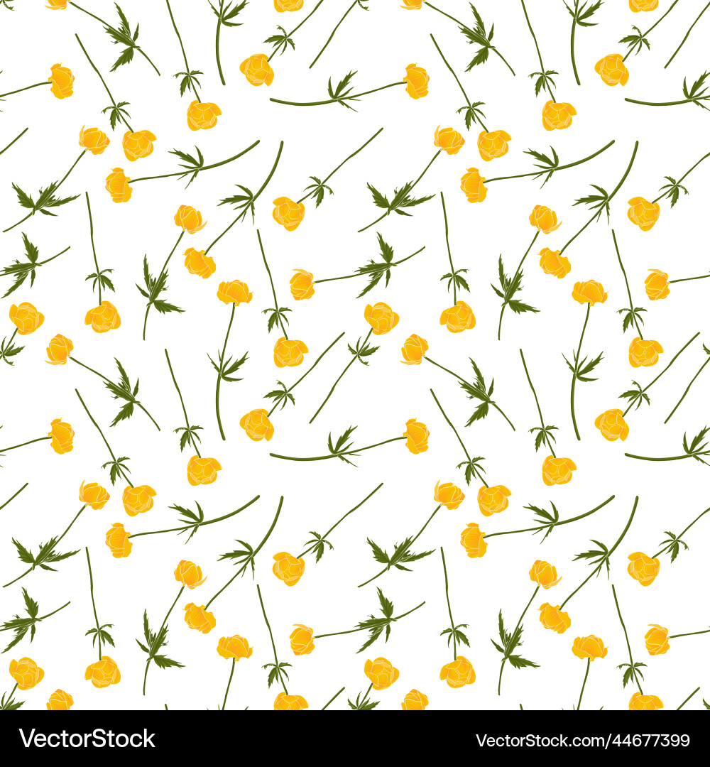 Globeflower Meadow Pattern Vector Image