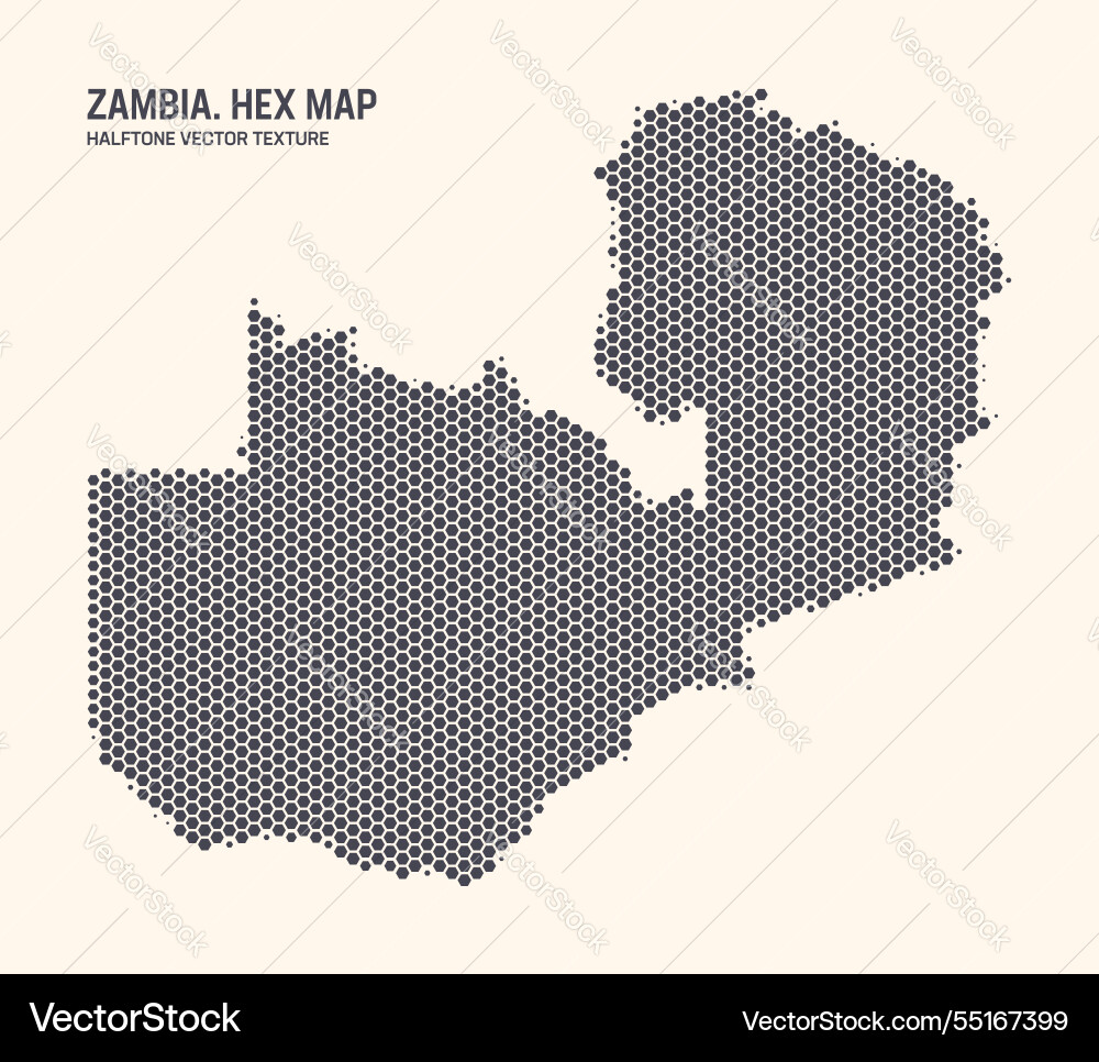 Zambia map hexagonal half tone pattern isolated Zambia map hexagonal half tone pattern isolated vector image