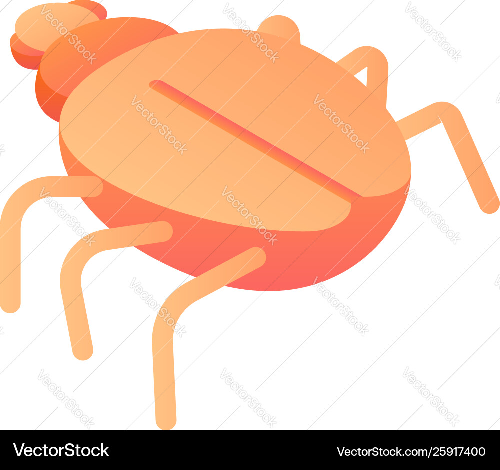 Virus computer bug icon isometric style vector image