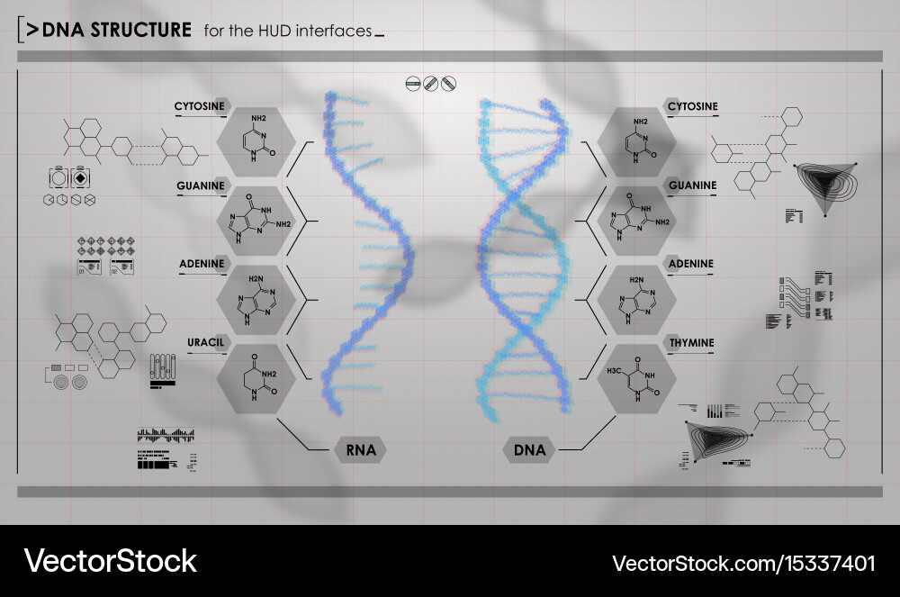 DNA Structure HUD Interface Vector Image