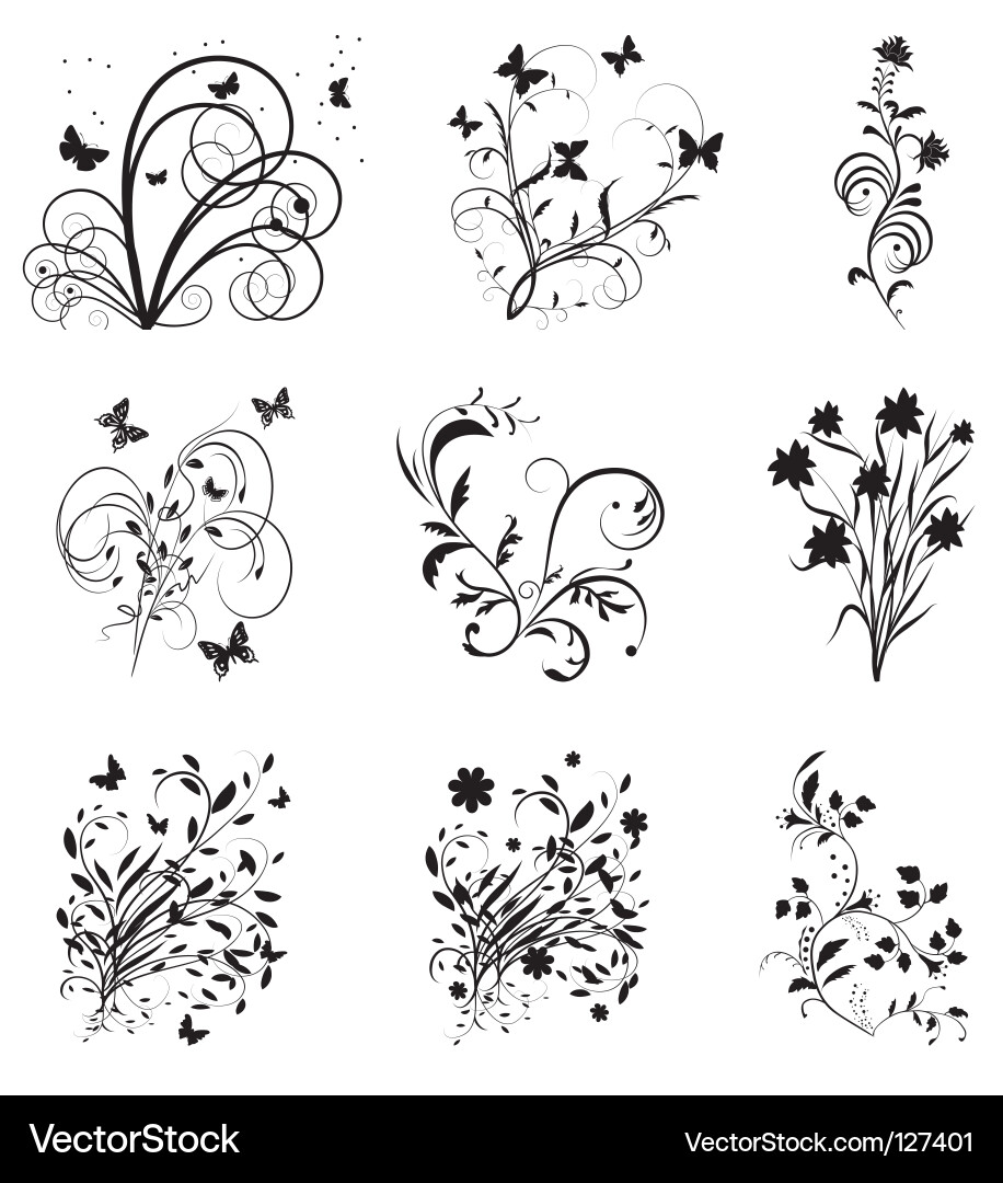 Floral Ornament Collection Vector Image