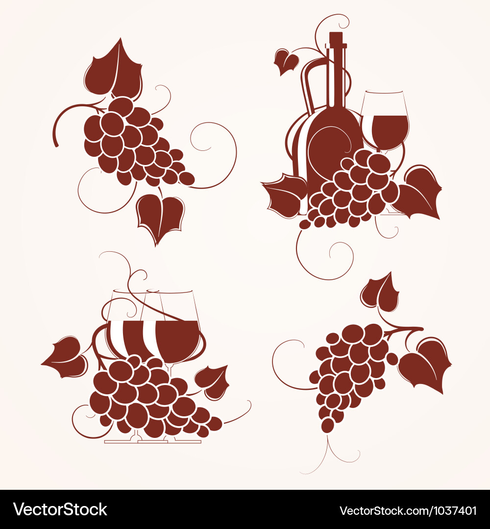 Grape Vine Elements vector image