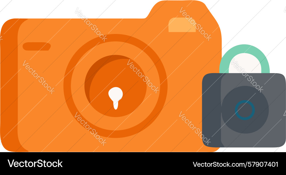 Locked camera icon for private image access vector image