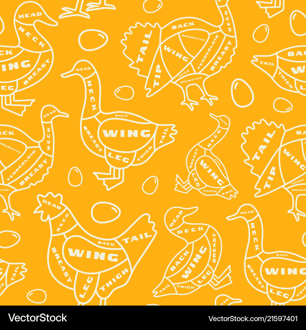Seamless pattern in thin line style for poultry Seamless pattern in thin line style for poultry vector image