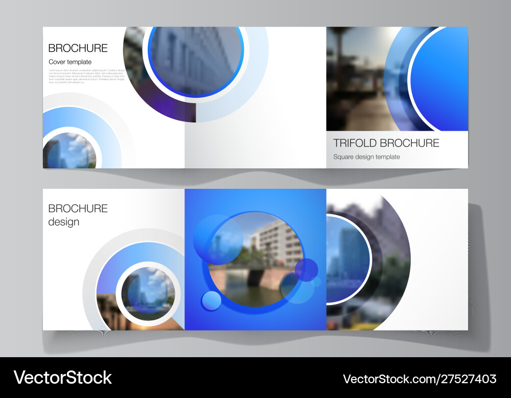 Minimal editable layout square Vector Image