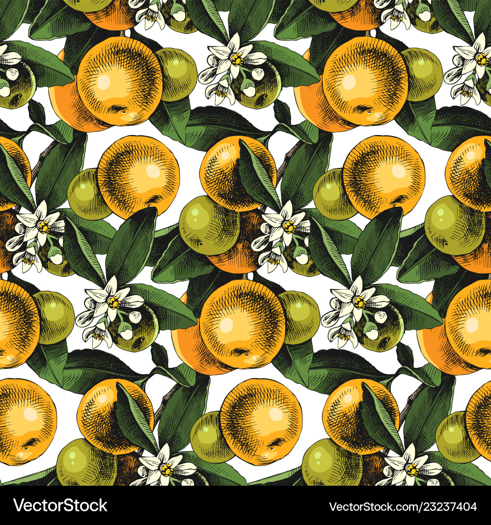 Seamless pattern with mandarin branches vector image