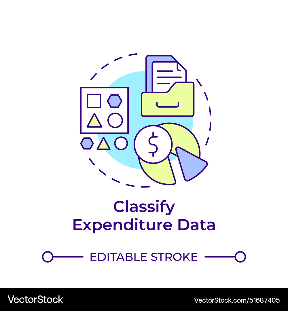 Classify expenditure data multi color concept icon Classify expenditure data multi color concept icon vector image