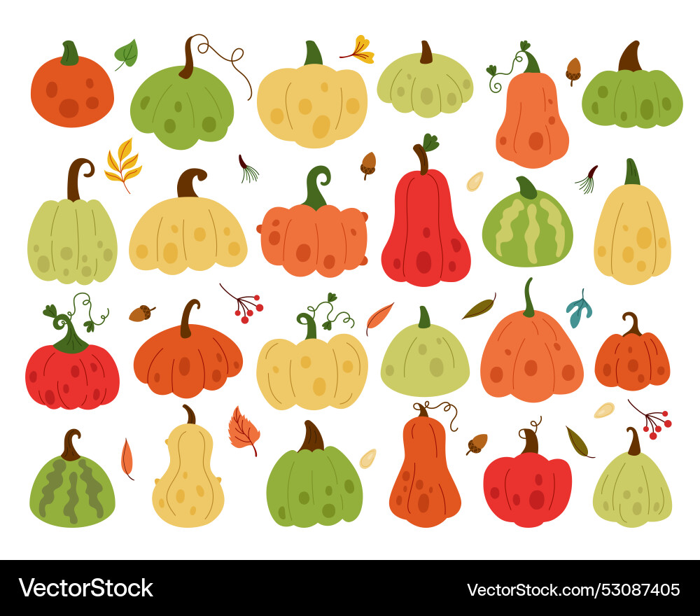 Herbst Squash Lebensmittel halloween Herbstgarten Blätter Herbst Squash Lebensmittel halloween Herbstgarten Blätter vektorbild