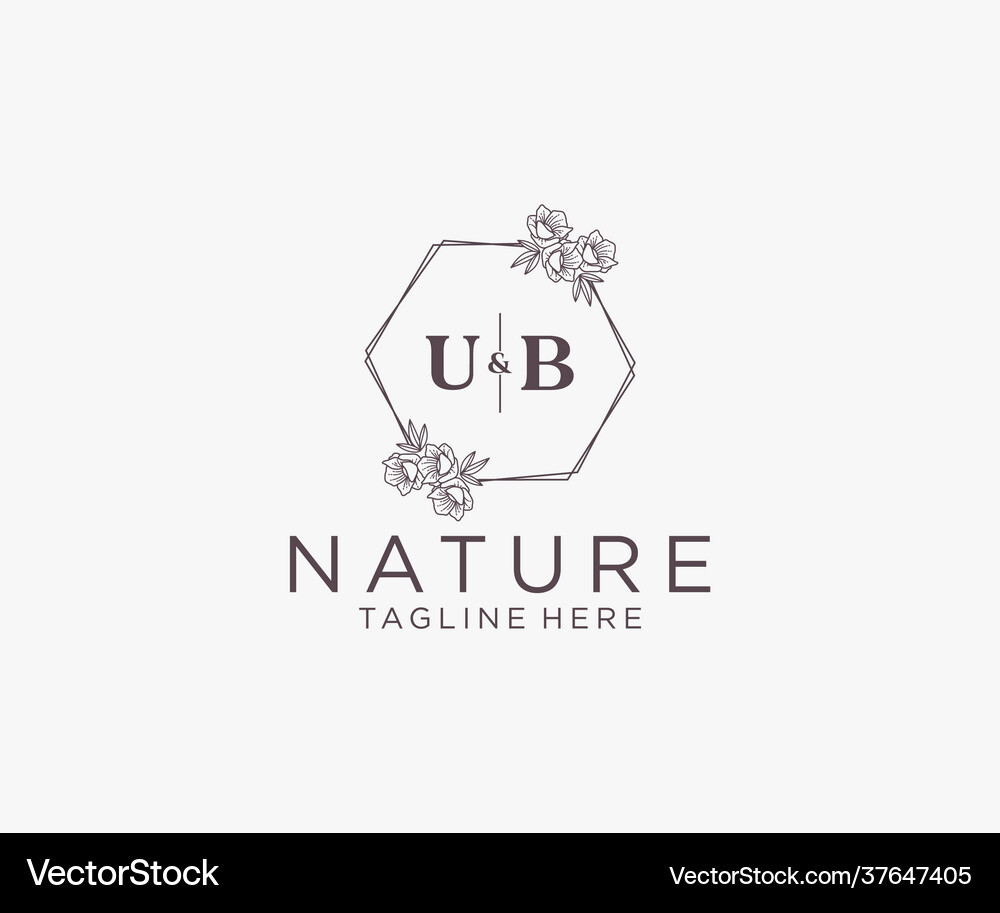 Initial ub letters floral frames botanical – Royalty-Free Vector ...