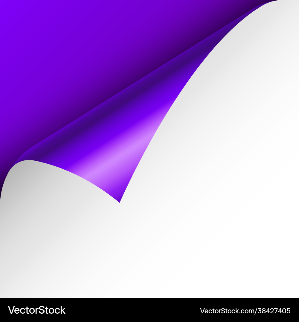 Violet paper curl curled page corner with shadow vector image