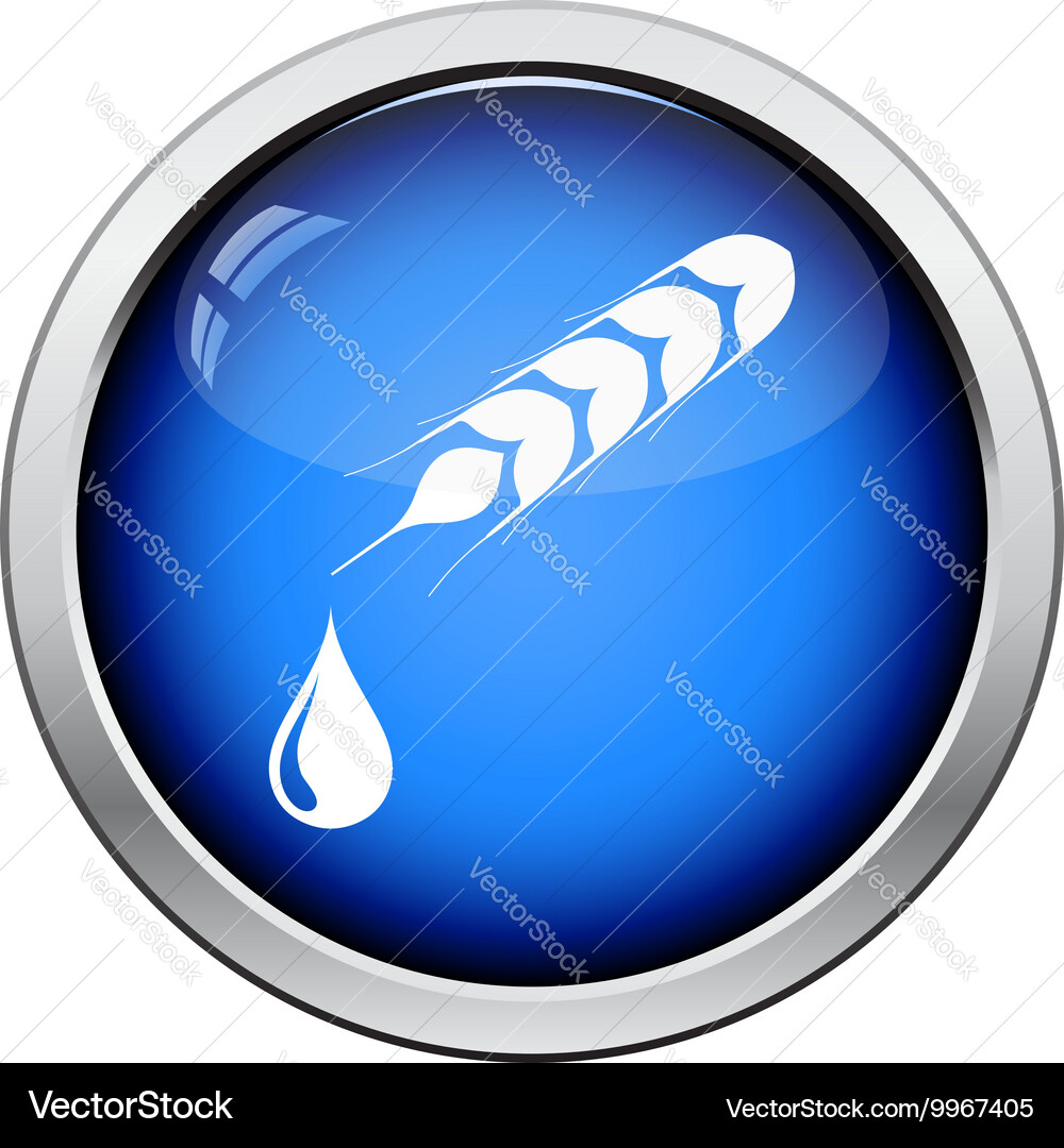 Wheat with drop icon vector image