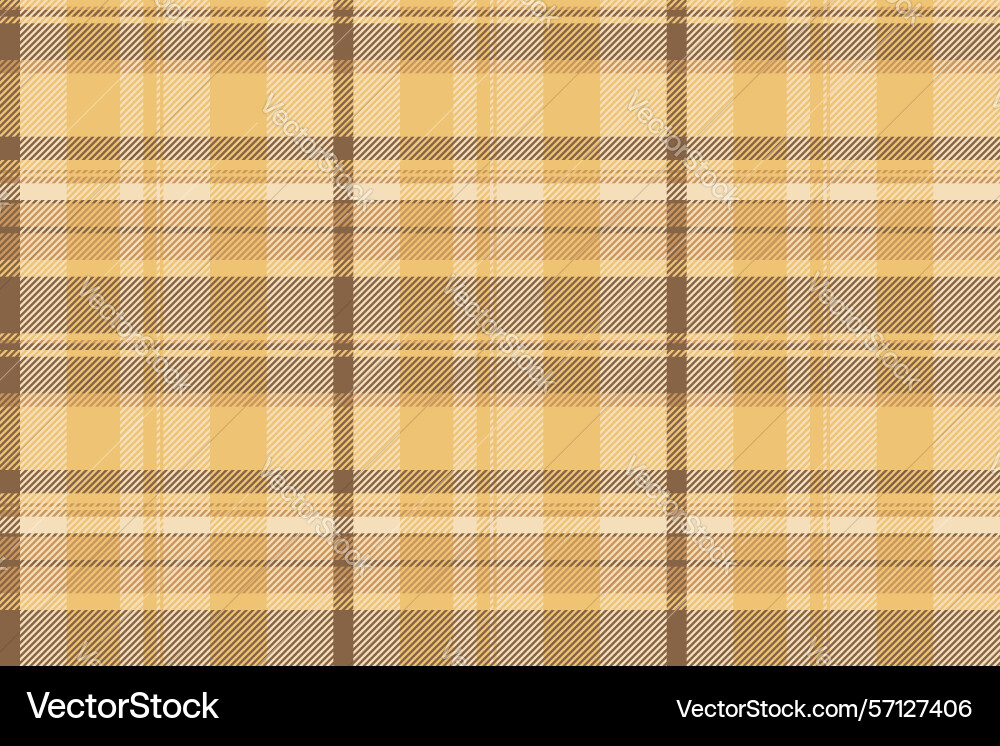 Warm tartan pattern with intersecting lines Vector Image