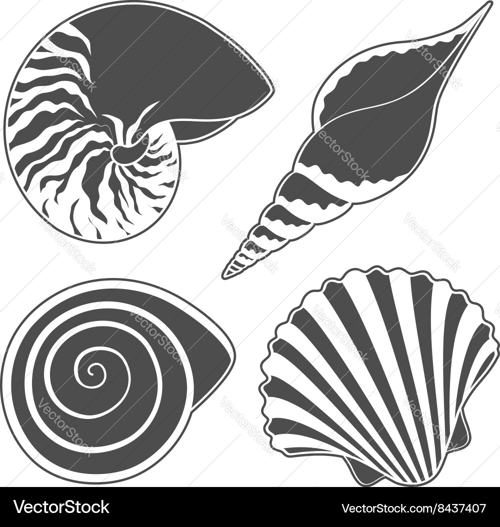 Collection of Seashells - Isolated Objects vector image