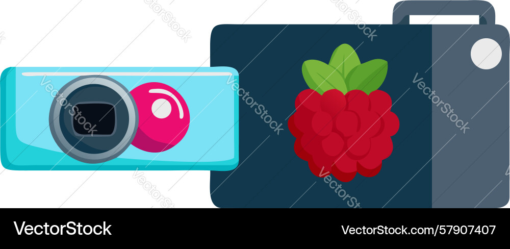 Raspberry pi camera icon diy tech digital Vector Image