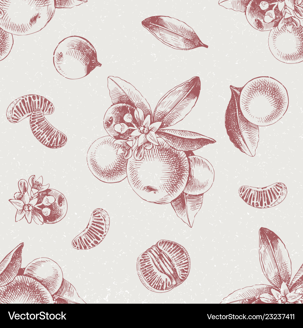 Mandarin Slice & Branch Pattern vector image