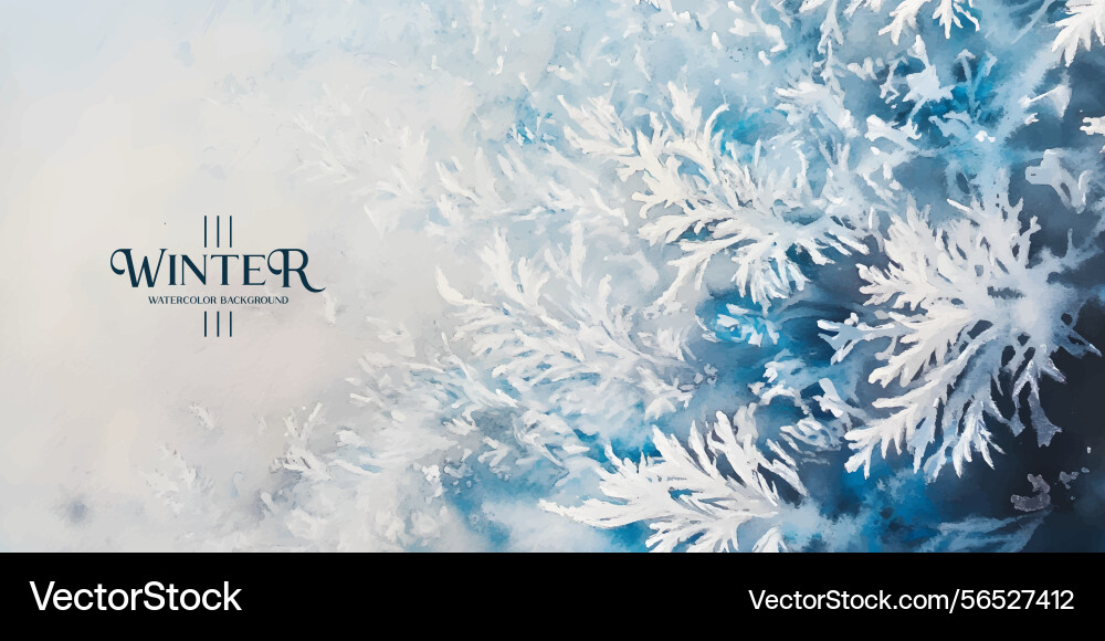 Close up view of intricate frost patterns Vector Image