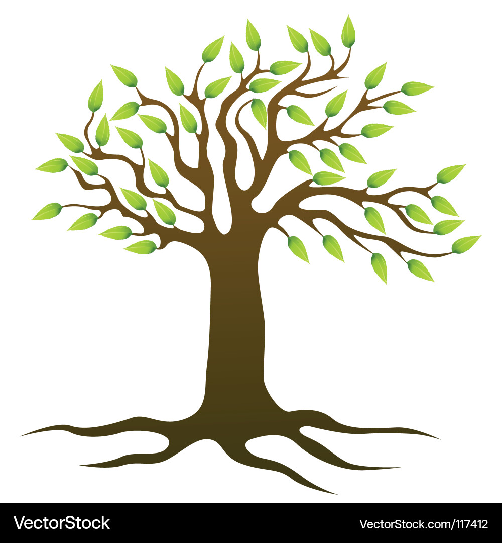 Tree vector image