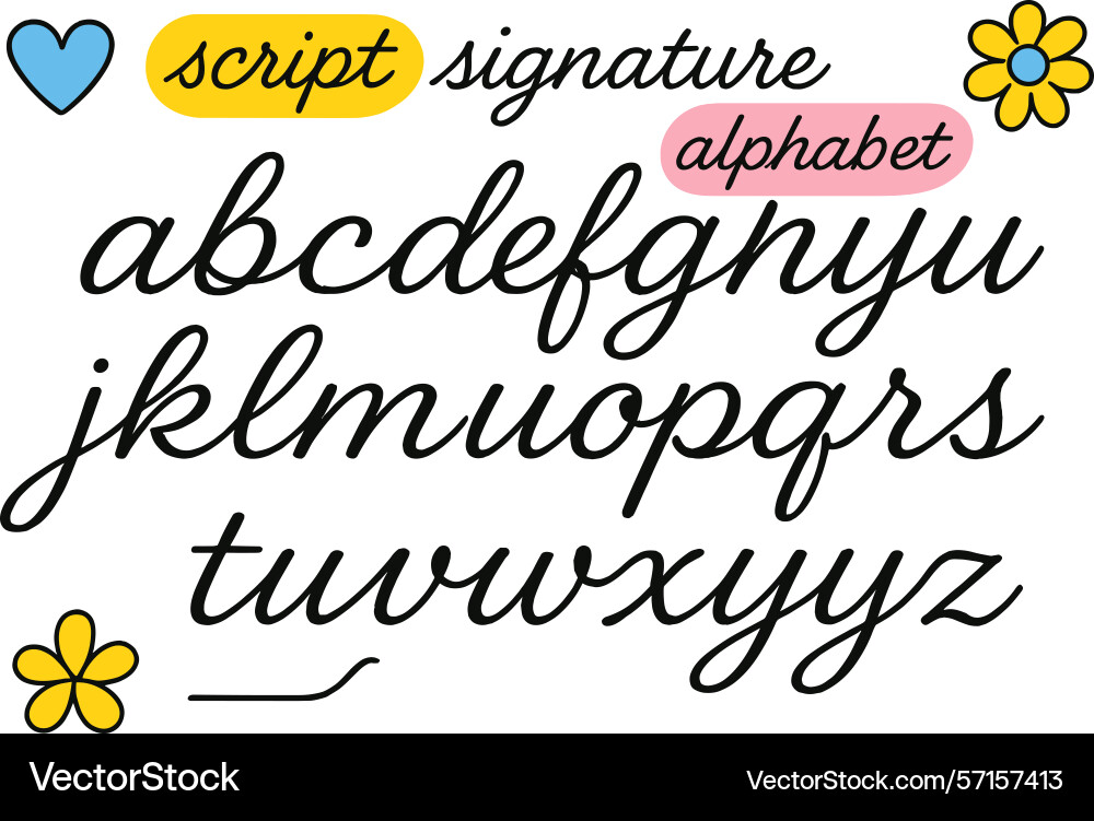 Handwritten script alphabet with decorative Handwritten script alphabet with decorative Vector Image
