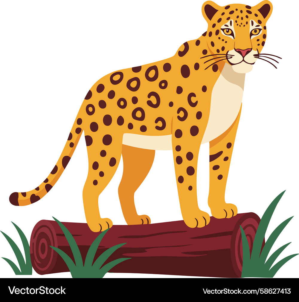 Leopard standing on log with surrounding green Vector Image