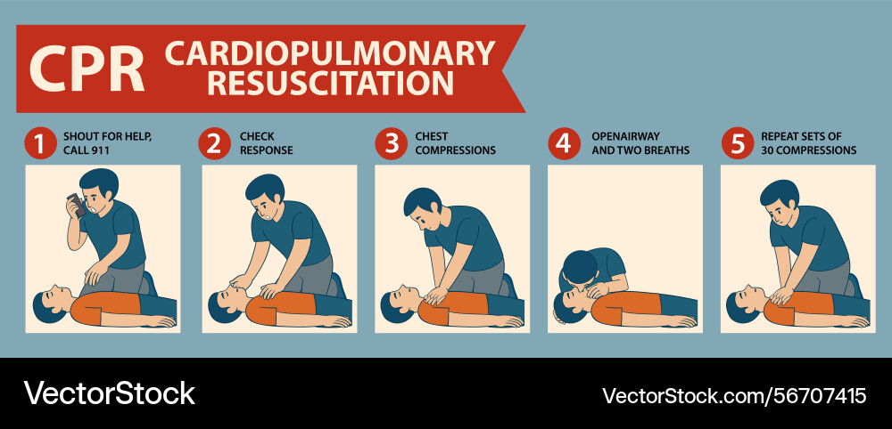 Showing cpr steps with clear visuals and text Vector Image