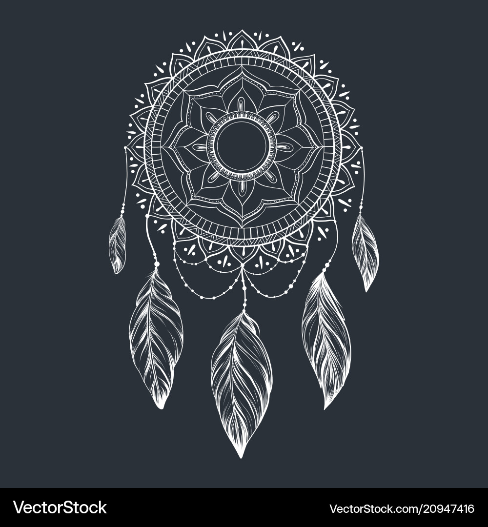 Dreamcatcher with feathers Dreamcatcher with feathers vector image
