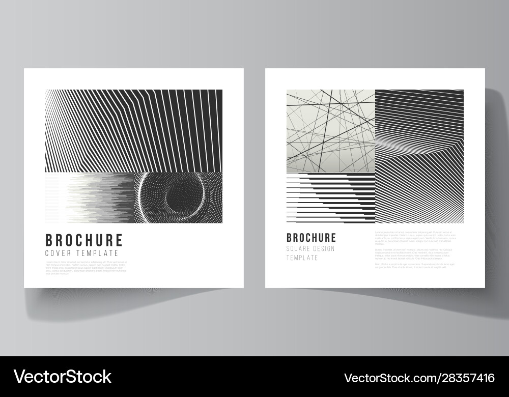 Layout two square format covers design vector image