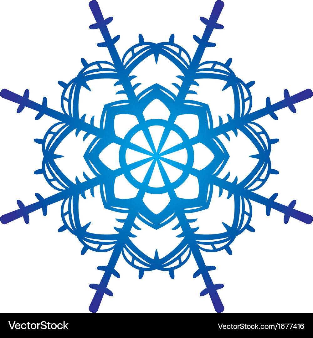 Snowflake Vector Image