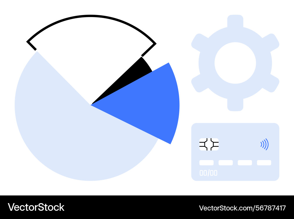 Data visualization with pie chart credit card vector image