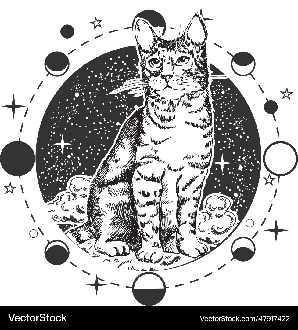 Cute cat full-length over cloudy starry night sky vector image