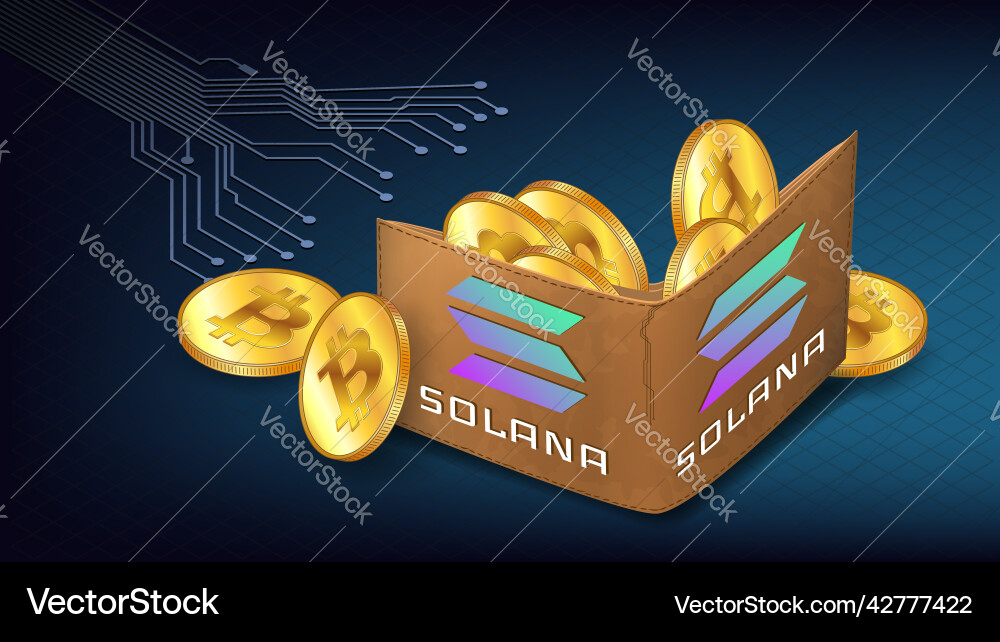 Wallet with solana blockchain support concept Vector Image