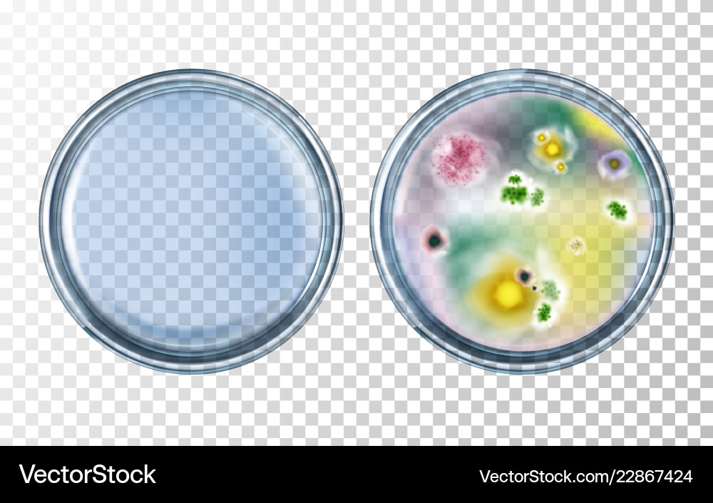 Antibiotics test with before after effect Antibiotics test with before after effect vector image
