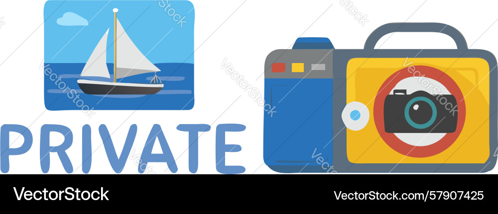Secure save icon camera cloud storage Vector Image